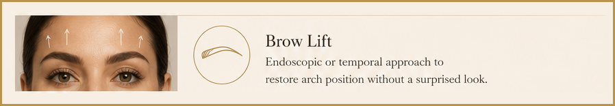 Brow Lift — elevates the brow to its youthful position
